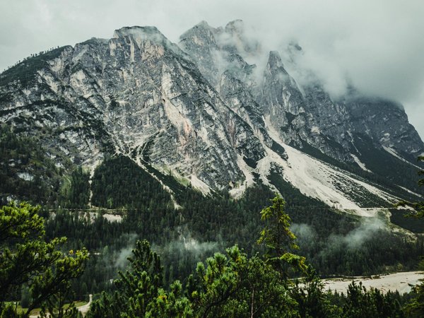 Quelles sont les meilleures techniques pour cuisiner des repas sans feu en camping?