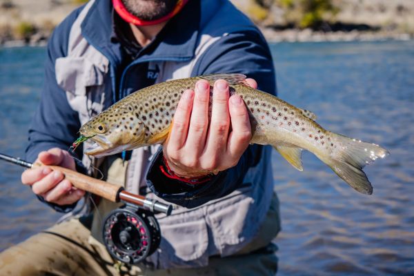 Comment découvrir les traditions de la pêche à la mouche en Nouvelle-Zélande?