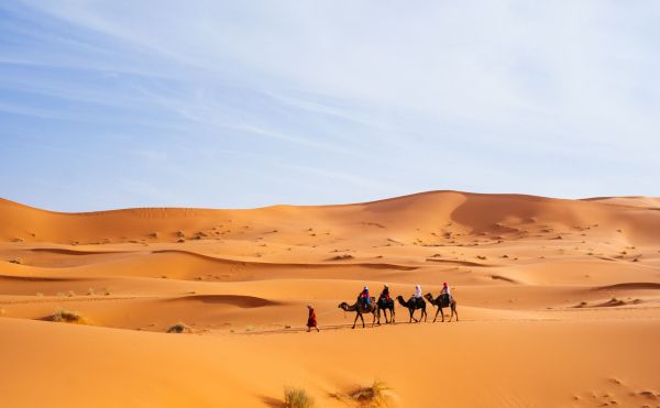 Comment découvrir les traditions des tribus nomades du désert du Sahara marocain : séjours et immersions ?