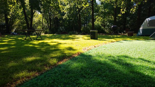 Top critères pour choisir entre gazon naturel et synthétique en camping
